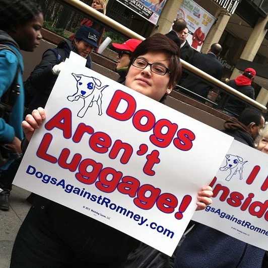 Dogs Against Romney protest in NYC - storyful